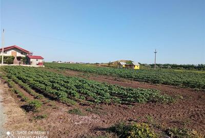 Teren de 500 mp, în Central - 1