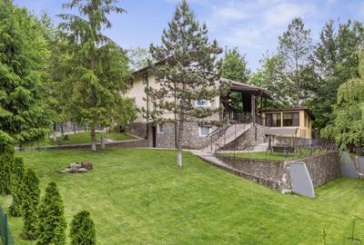 Refugiu de Vis in Cornu Priveli?te Panoramica ?i Apu - 18