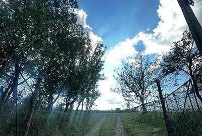 Teren Construcții intravilan de 1597 mp, în Lugașu de Sus