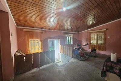 Casă cu 3 camere cu Teren 12955 Mp în Jdioara - 10