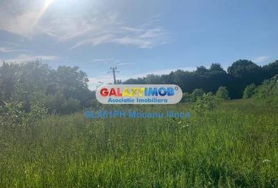 Teren Construcții intravilan de 1193 mp, în Păulești - 9