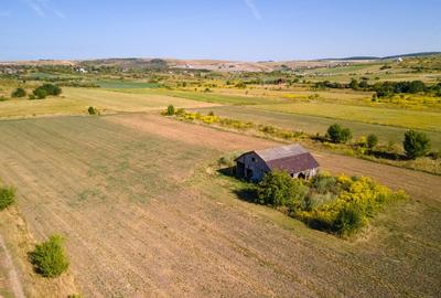 Teren intravilan, 2.800 m2, Cluj-Napoca - 19