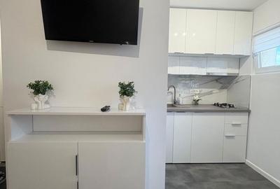 Garsonieră în 1 Decembrie 1918 - 4