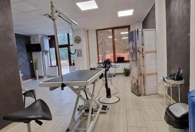 Spațiu comercial, de 50 mp, în Central - 2