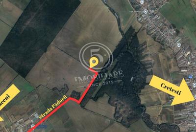 Teren de Vanzare - 6.828 mp, Șintesti, Vidra - 3