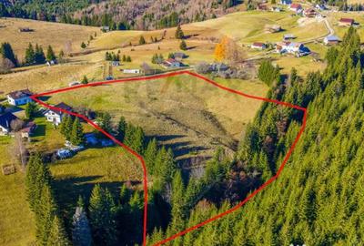 Teren de 13800 mp, în Fundățica - 4