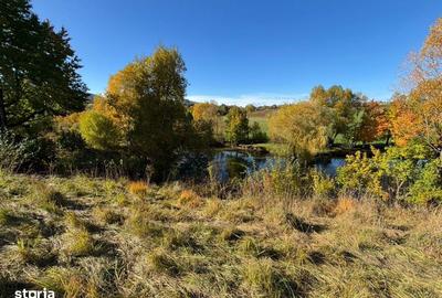 Teren de 631 mp, în Agapia - 1