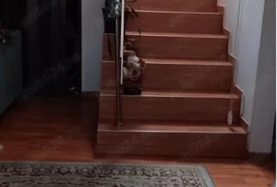 Casă cu 1 camere în Central - 1