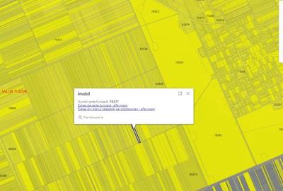 Teren agricol extravilan de 2.0889999866486 mp, în Salcia Tudor - 2