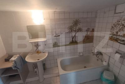 1 casa 160mp + 1 casa 110mp + garaj, pe teren 9ari, 2 cai acces, zona centrala - 18