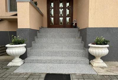 Casă cu 3 camere cu Teren 2500 Mp în Almașu Mic - 1