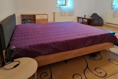 Apartament cu 2 camere decomandat în Calea Dumbrăvii - 5