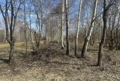 Spațiu comercial, în Drăguș - 2