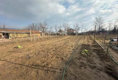 Casă individuală cu 4 camere cu Teren 640 Mp în Vințu de Jos - 14