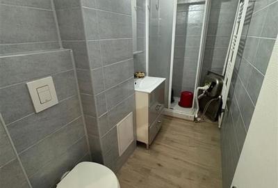 Ap 2 cam, parter, 2 intrari, renovat, nemobilat, Independentei Ap 2 cam, parter, 2 intrari, renovat, nemobilat, Independentei - 6