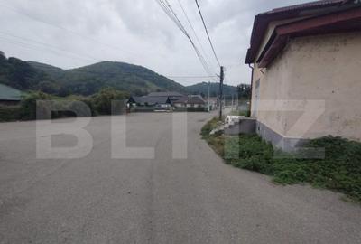 Spatiu depozitare/productie de inchiriat, oras Nasaud - 6