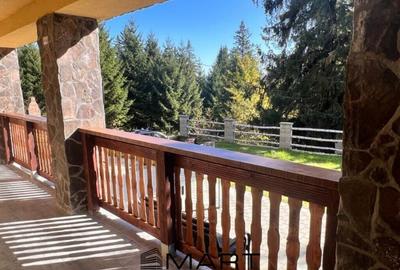 Pensiune 7 camere plus apartament zona Platos Paltinis - 2