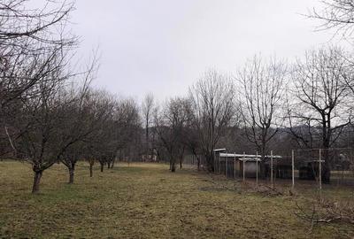 Teren de 6000 mp, în Central - 1