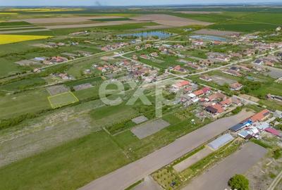 Teren în Nițchidorf - 5