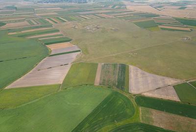 Teren arabil de 26 hectare in Arge? Teren arabil de 26 hectare in Arge? - 3