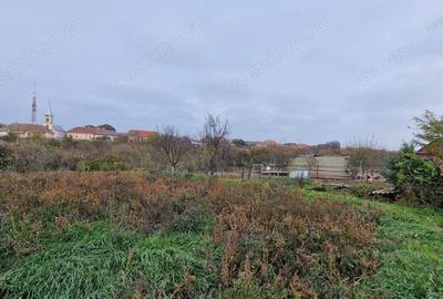 Casă cu 4 camere în Carani - 8