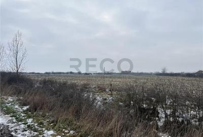 Teren de 26000 mp, în Inand - 3