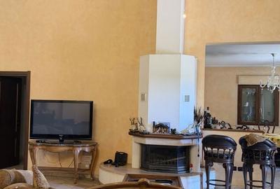 Casă cu 7 camere cu Teren 6700 Mp în Cernica - 2
