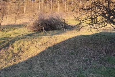 Casă cu 2 camere în Diviciorii Mari - 4