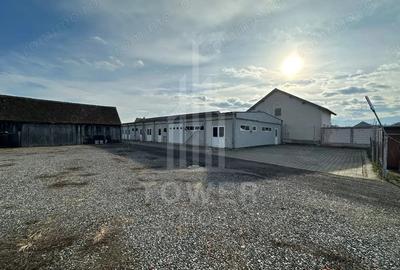Spațiu comercial, de 500 mp, în Cristian - 20
