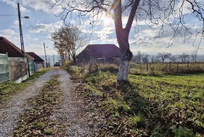 RECO Teren intravilan in Borod, Bihor 1750mp - 13