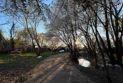 Casă individuală cu 5 camere cu Canalizare în Giulești - 4