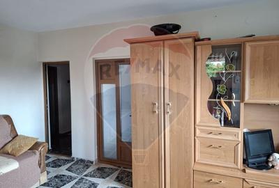 Casa / Vila cu 6 camere de vanzare in zona Calea Severinului - 11