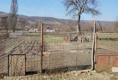 Casă cu Teren 4642 Mp în Bârsău - 4