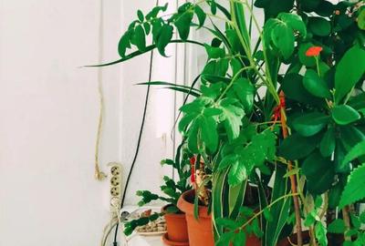 Apartament cu 2 camere decomandat, mobilat în Brâncoveanu - 8