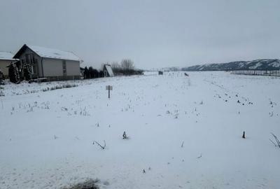 Spațiu comercial, în Viișoara - 2