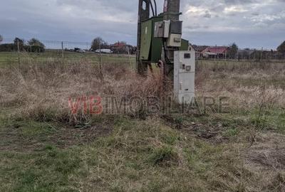 Ferma Zootehnică Mixtă – Cernateaz, Timiș | 9,5 ha | Hale Moderne, Casă 2019, Ut - 13