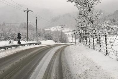 Proprietate in Rasinari - 2