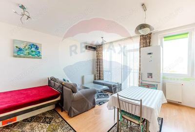 Apartament cu o camera la Ared Kaufland Apartament cu o camera la Ared Kaufland - 10