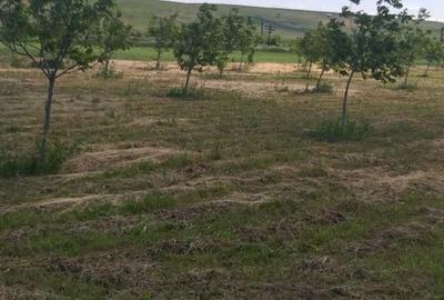 Spațiu comercial, în Docani - 3