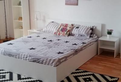 Garsonieră decomandată, mobilată în Unirii - 10