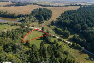 Spațiu comercial, în Vulcan - 11