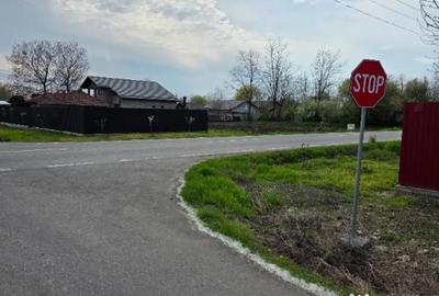 Teren în Movilița - 4