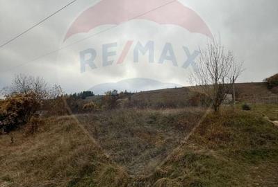 Teren intravilan de vânzare 2.307 mp – Sălicea, comuna Ciurila - 8