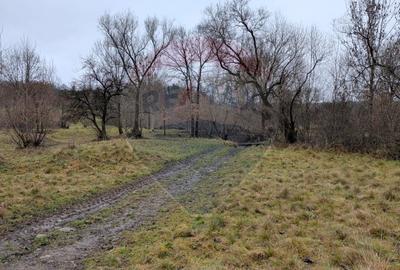 Teren 2,932mp Sarbi (Budesti) / Drumul Principal - 7