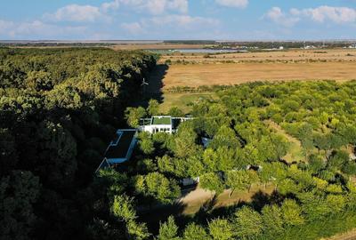 Teren Construcții intravilan de 1835 mp, în Afumați - 7