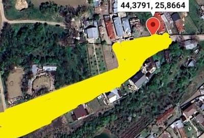 Teren intravilan 2927 mp - com. Domnesti sat Teghes - 9