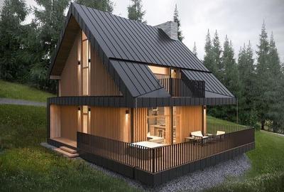 FILM!Casa ergonomica,independenta energetic,123 mp utili,777 mp teren, Rasnov, P - 1