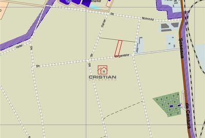 Teren de 5000 mp, în Domnești - 6