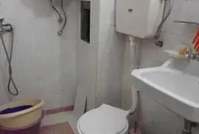 Apartament cu 1 camera in zona Buziasului - 3