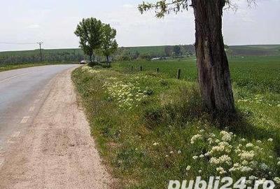 Teren de 45000 mp, în Central - 4